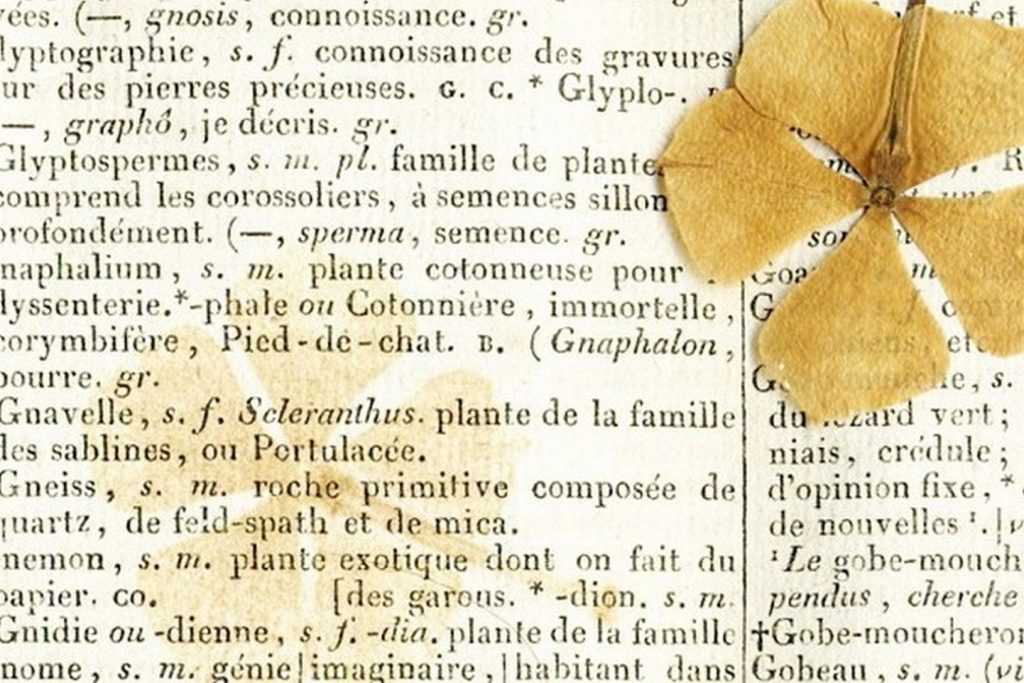 много публично-исторических мероприятий