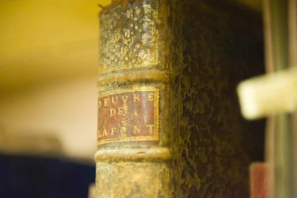 много публично-исторических мероприятий